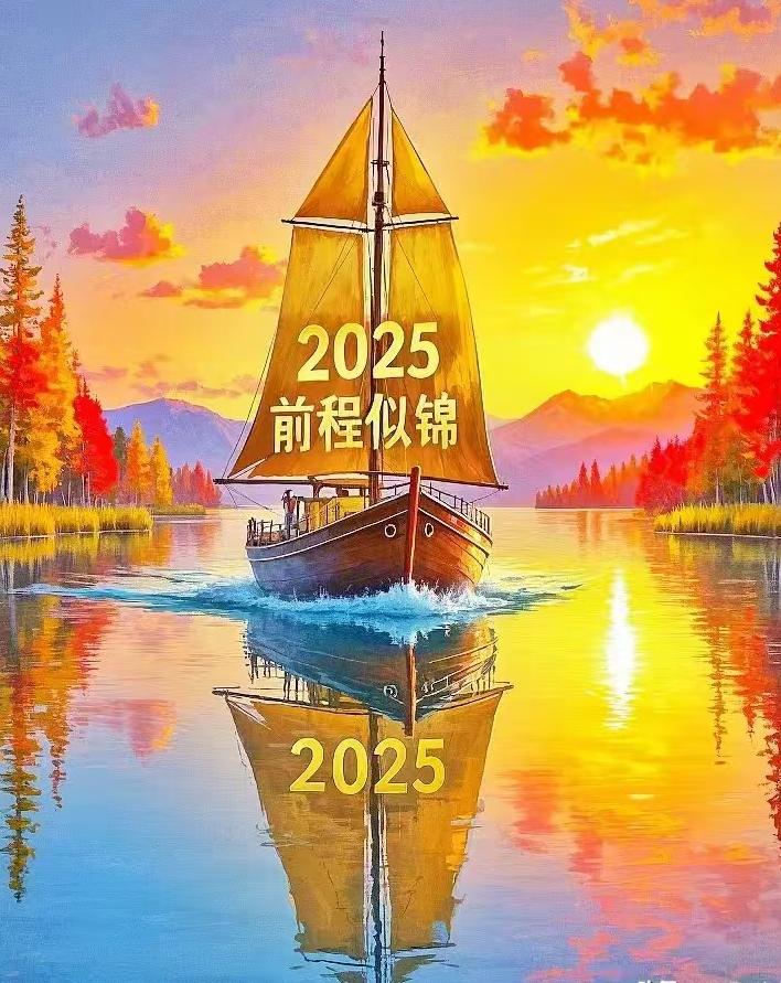 1735602428880400.jpg 8.jpg